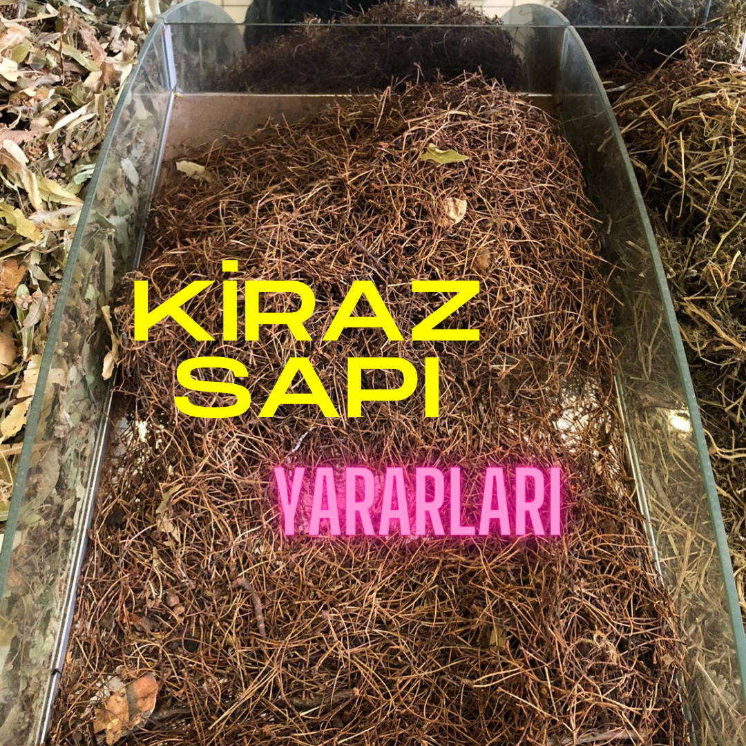 KİRAZ SAPI YARARLARI NELERDİR?