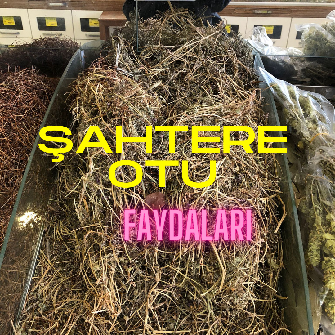Şahtere Otu faydaları nelerdir ?