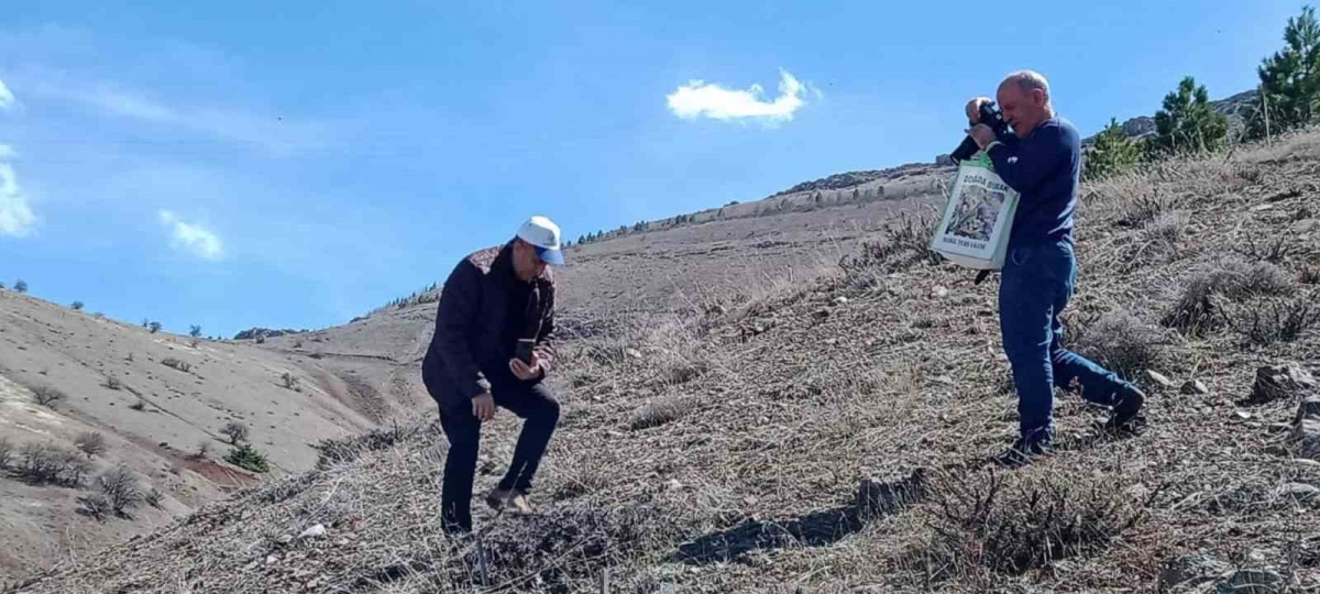 Elazığ’da ’Baskil ters lalesi’ izleme çalışması yapıldı