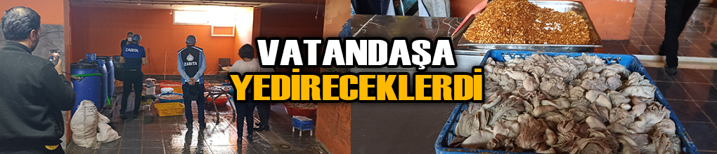 Kaçak sakatat deposuna baskın