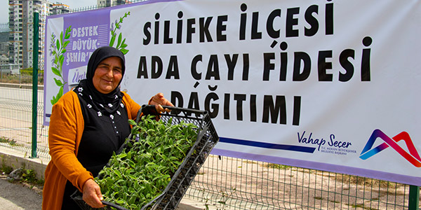 Ada çayı Silifkeli üreticilerin ellerinde yetişecek