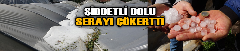 Şiddetli dolu serayı çökertti
