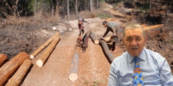 Orman emekçileri hakkını kazandı