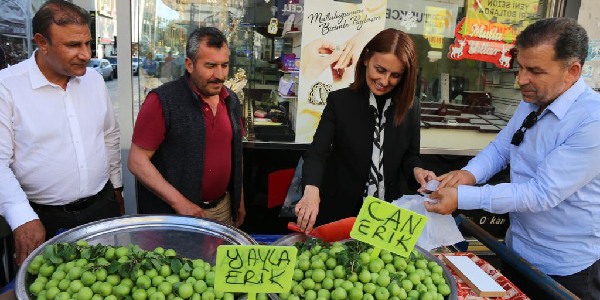 Söylemez, “bu süreç seçim süreci değil, vatan meselesi”