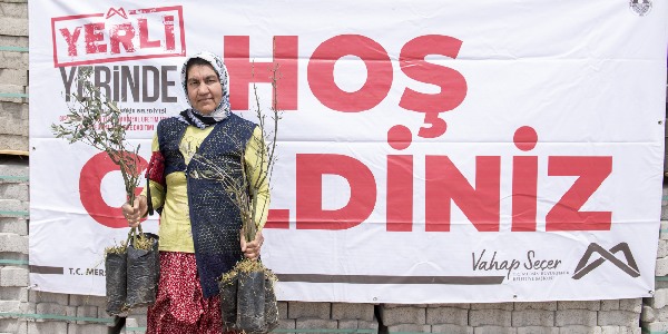 Zeytin fidanları toprakla buluşacak