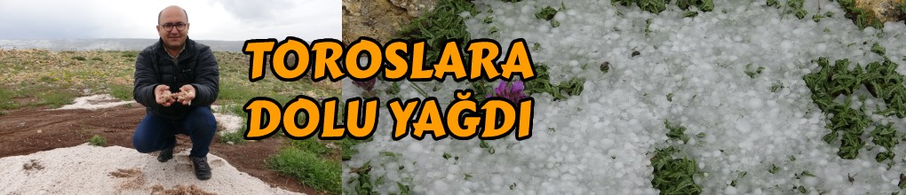 Toroslar’a dolu yağdı