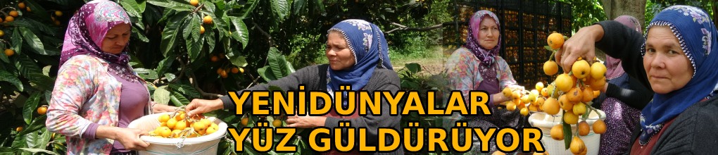 İhracat yolundaki son yenidünyalar yüz güldürüyor