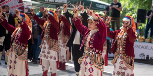 Mut Kayısı Kültür ve Sanat Festivali