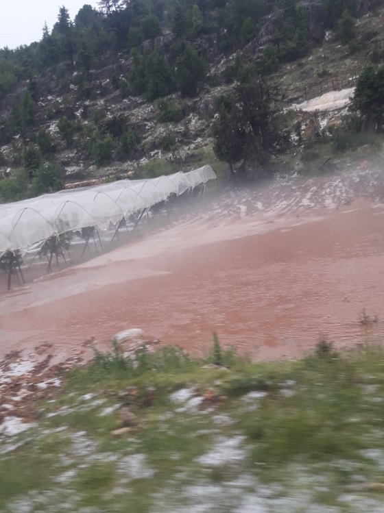 Erdemli'de Sağanak Sele Neden Oldu, Bahçeler Zarar Gördü