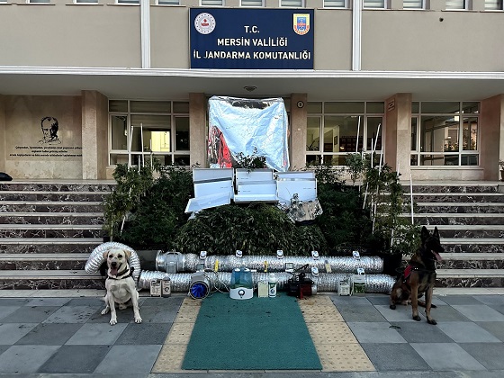 Bahçesinde Uyuşturucu Yetiştiren Bir Şüpheli Yakalandı
