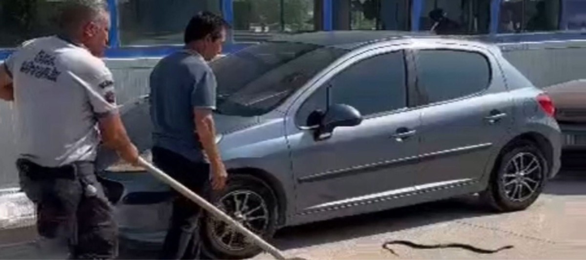 HERKES KORKTU O ELİYLE YAKALAYIP DOĞAYA BIRAKTI