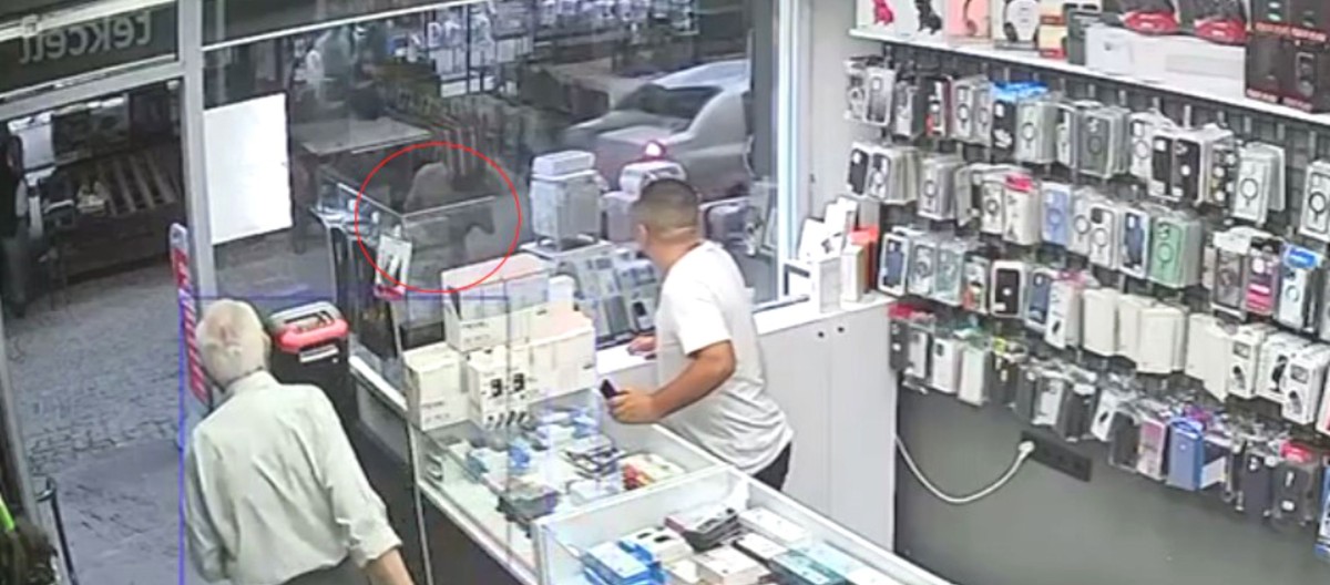 OTOMOBİLİN ÜZERİNE KEÇİ DÜŞTÜ