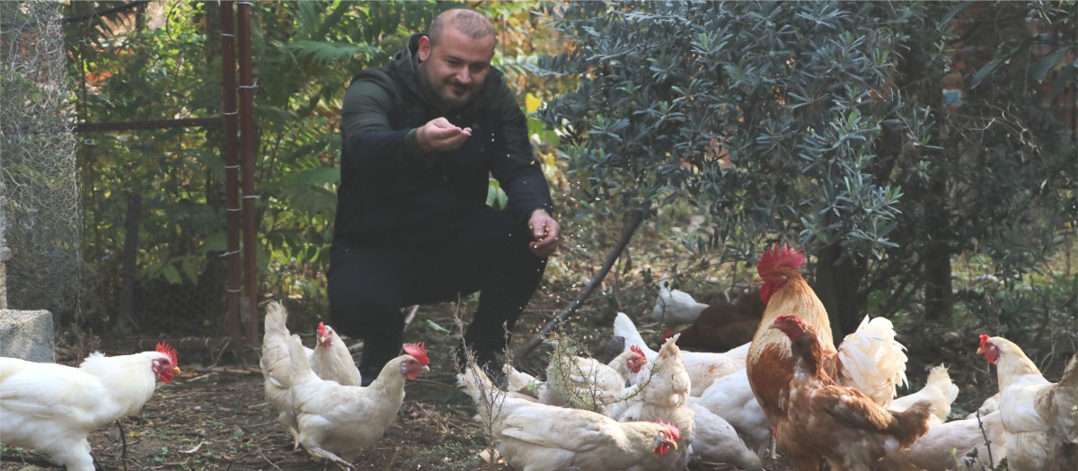 ÇİFTLİĞE MUSALLAT OLAN TİLKİ