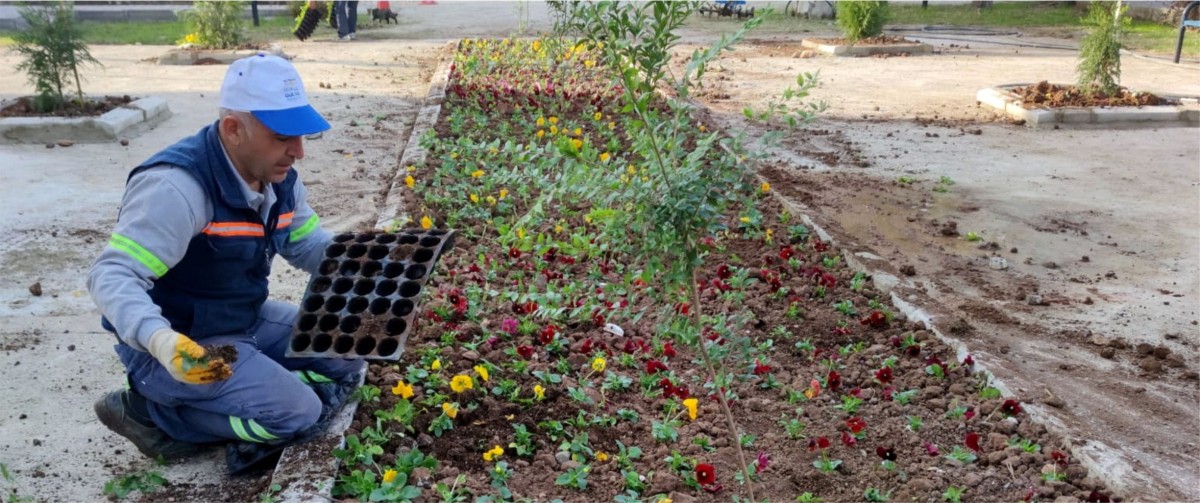 AKDENİZ’DE PARK, BAHÇE VE YEŞİL ALANLAR ÇİÇEKLENİYOR