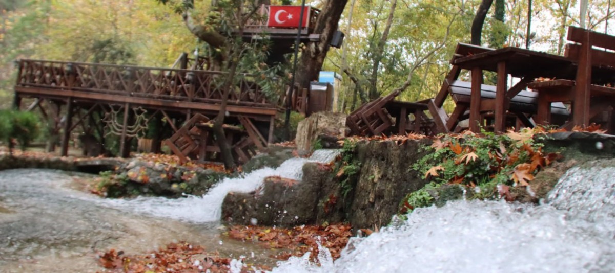 ASIRLIK ÇINARLAR GÖRSEL ŞÖLEN OLUŞTURDU