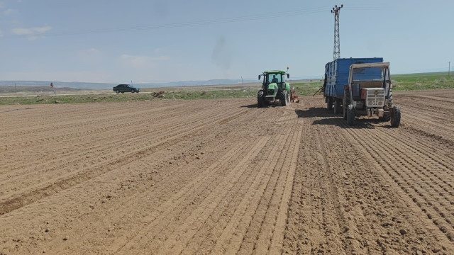 Adilcevaz’da şeker pancarı ekimine başlandı