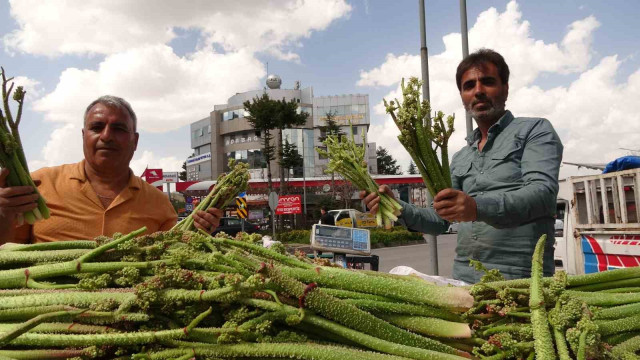 Bitlis’te ‘yayla muzu’ uçkunun fiyatı, ‘Anamur muzunu’ üçe katladı