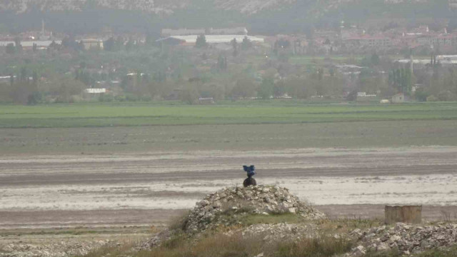 Burdur’un içme suyu sorunu göl ortasından geçirilecek Senir Suyu Projesi ile çözülmeye çalışılacak