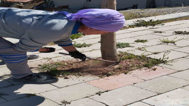 Çameli Belediyesi kaldırım ve ağaçları bakıma aldı