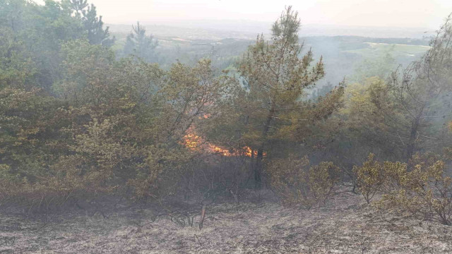 Denizli’de sezonun ilk orman yangını büyümeden söndürüldü