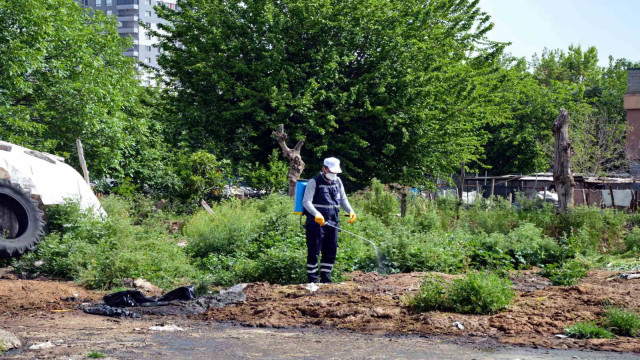 Diyarbakır’da vektörlere karşı ilaçlama çalışmaları sürüyor