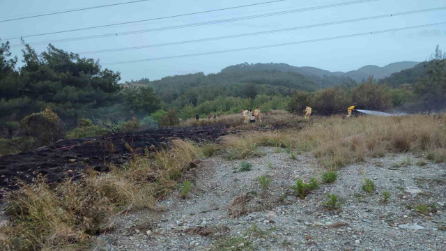 Dörtyol’da çıkan orman yangını söndürüldü