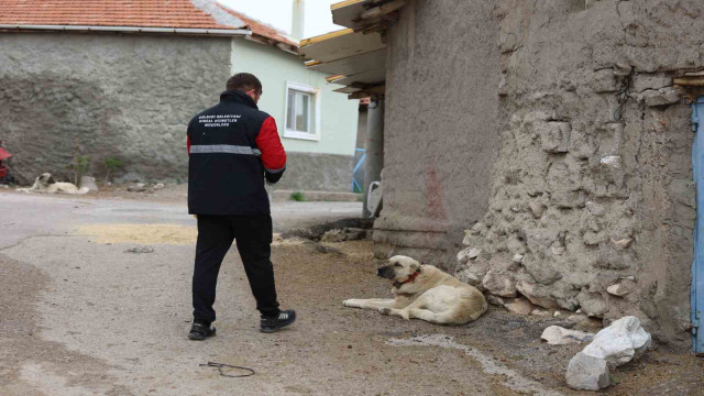 Gölbaşı Belediyesi sokak hayvanlarını aşıladı