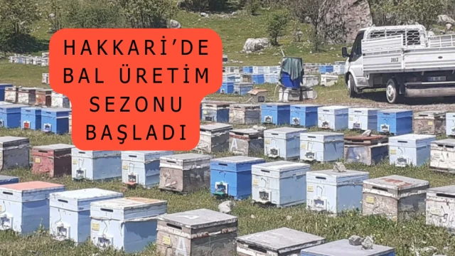 Hakkari’de bal üretim sezonu başladı