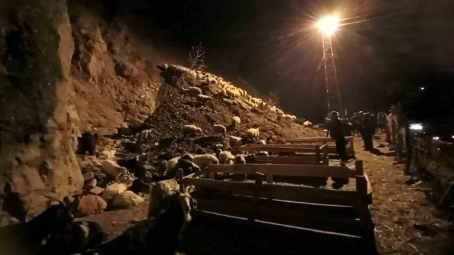 Hakkari’nin Kırıkdağ köyünde toprak kayması