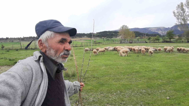 Havaların ısınmasıyla küçükbaş hayvanlar meralara çıkmaya başladı