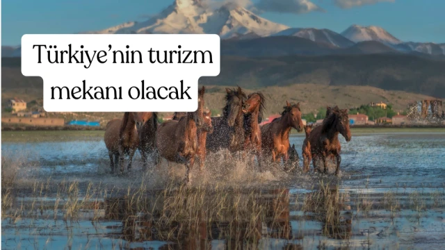 Hürmetçi Sazlığı, Türkiye’nin gözde turizm mekanı olacak