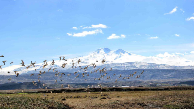 Kayseri’nin doğal kuş cenneti baharı müjdeliyor