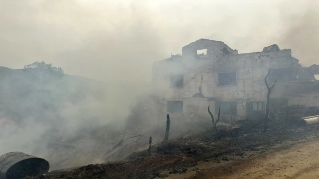 Köyde çıkan yangında çok sayıda yapı küle döndü, 4 hayvan telef oldu