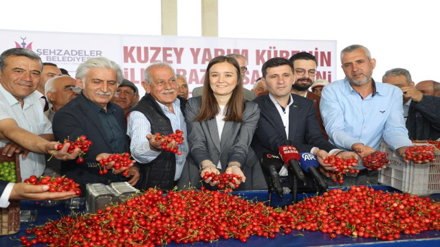 Kuzey yarımkürenin ilk kirazının hasat edildiği Manisa’da üretici umutlu