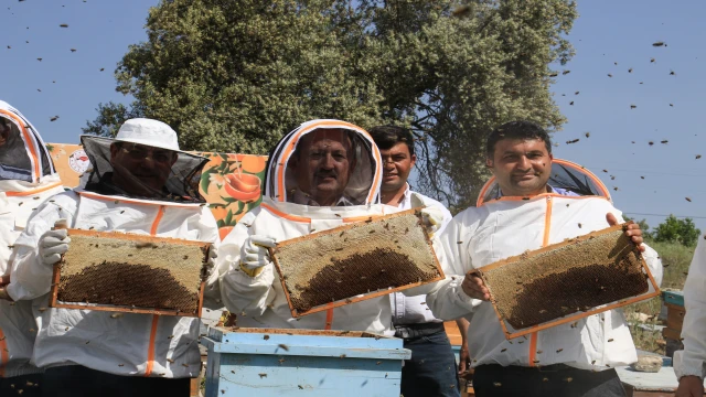 Mersin’de ’Narenciye Balı Hasat Şenliği’ düzenlendi