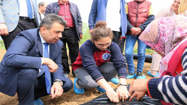 Özel bireyler ve aileleri kolları sıvadı, serada çilek üretimine başladı