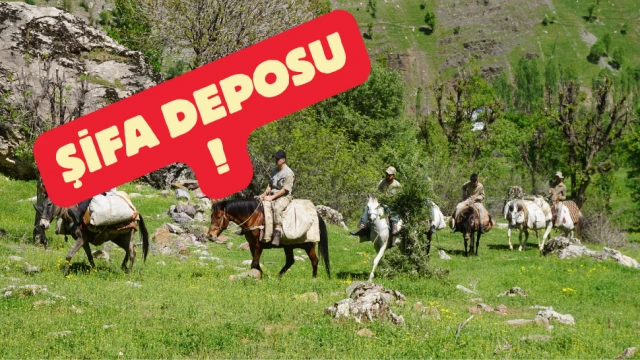 Terörden temizlendi, şifa deposu oldu!