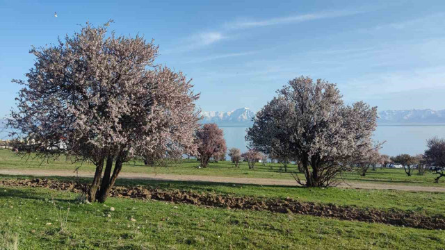 Van’da iki mevsim bir arada