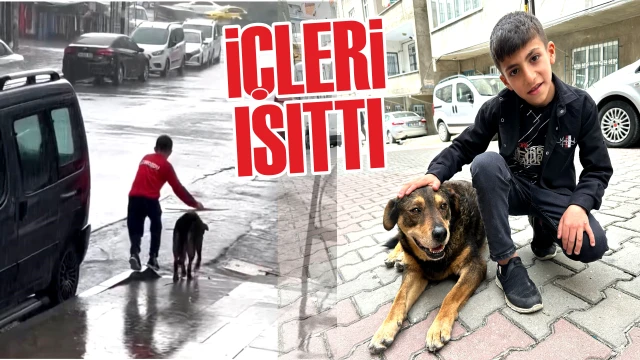 YAĞMURDA KÖPEĞİ ISLAMAKTAN KORUDU   