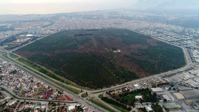 7 yürüyüş parkuru 25 bin ağaçla kentin akciğeri Zeytinpark, Antalyalıları bekliyor