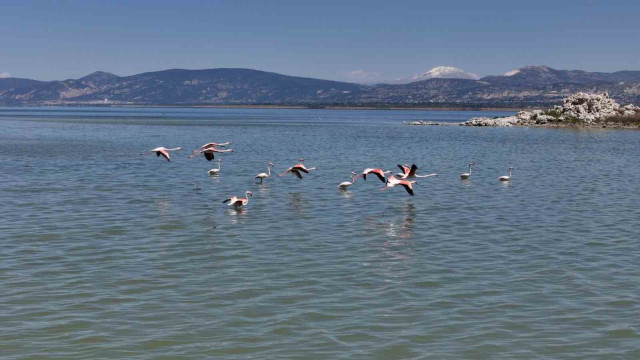 Burdur Gölü’nü besleyen yer altı su kaynakları su kuşlarına ev sahipliği yapıyor