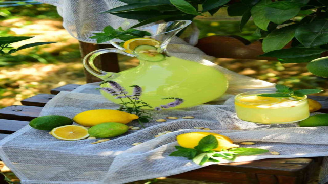 ’Fıstıklı limonata’ Alanya’nın tescilli lezzeti oldu