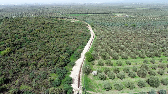 Manisalı çiftçiye Çamönü müjdesi