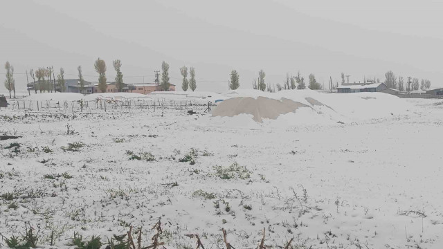 Özalp mayıs ayında kışı yaşadı