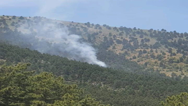 Saimbeyli’de çıkan orman yangını kontrol altIna alındı