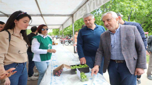 Turgutlu’da en güzel Dumanlı Papaz Eriği yarışması düzenlendi