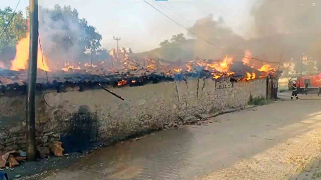 Ula’da korkutan yangın