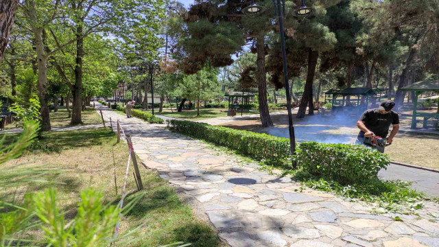 Vezirköprü’de yaz temizliği