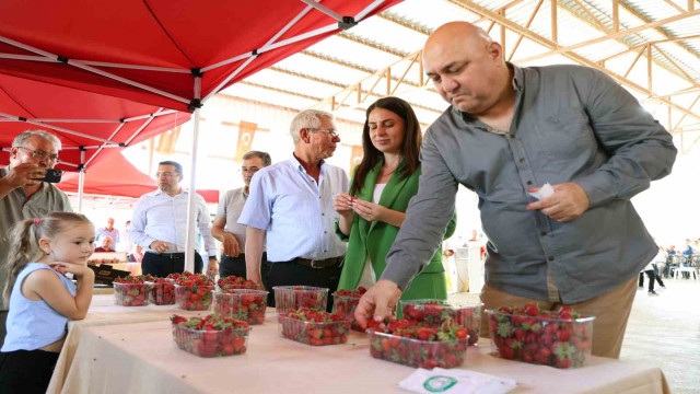 Yatağan’da ‘Çilek’ festivali