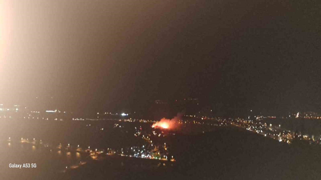 Ayvalık’ta orman yangını